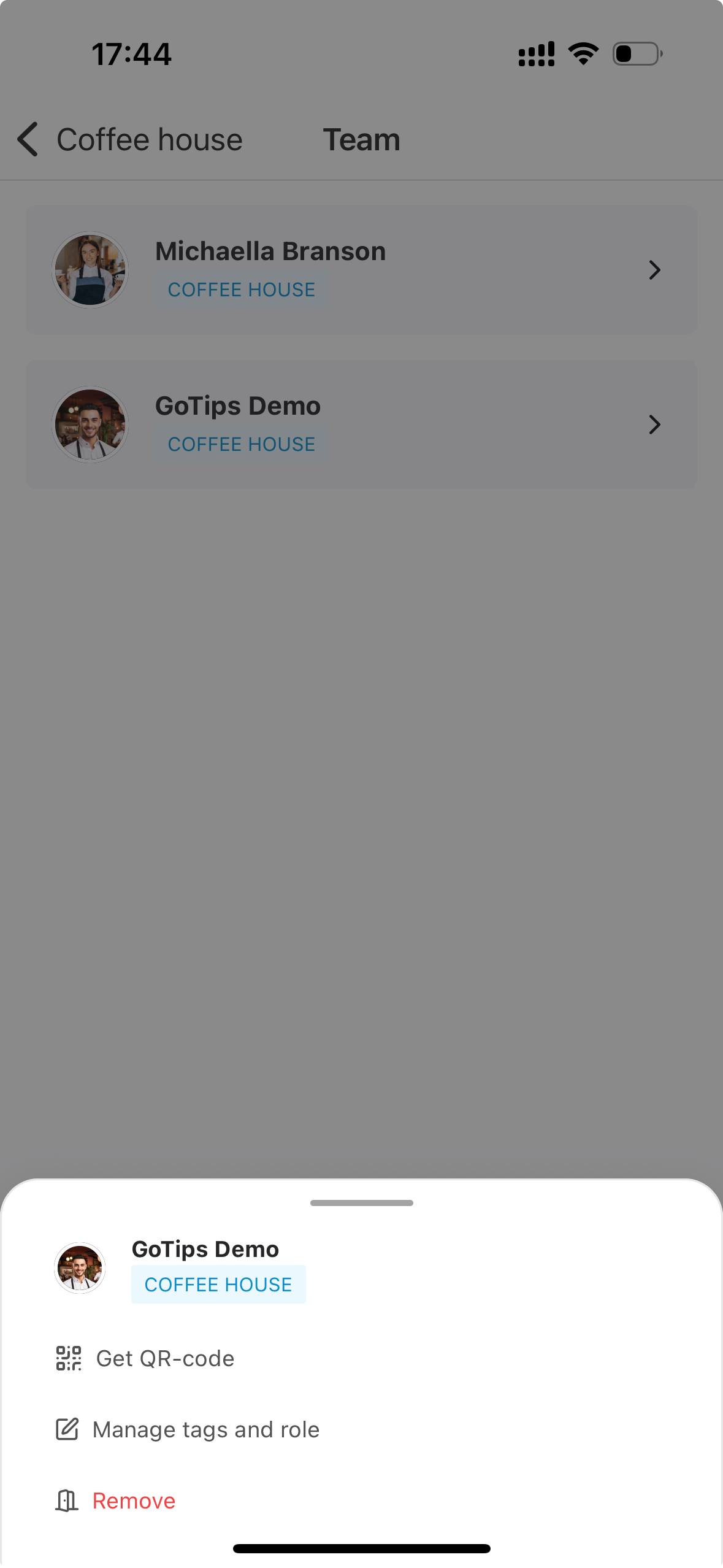 Manage team member